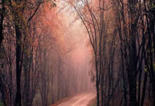 九游会·J9：英超-B费进球阿玛德破门 曼联客场逆转击败曼城.