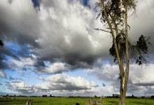 一日英超动向：蓝军真的考虑不买桑乔，C罗回击曼联9号“等着瞧”.