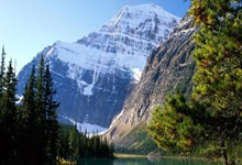 博主批伊万：为什么没有安排塞鸟出场？这个怕又是一个悬案了.