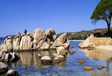 九游会·J9：[中超]冯劲替补造点 奥斯卡主罚轻松破门.